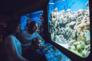 Family at the aquarium