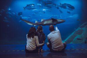 A family celebrate the summer holidays at the aquarium with their child.