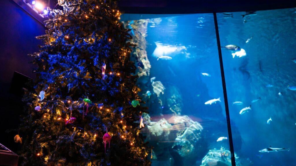 A decorate christmas tree infront of an exhibit at the aquarium