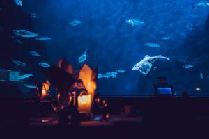 A close up of a table set for dinner with lit candles in a dark setting, behind is a huge aquarium reef full of fish.