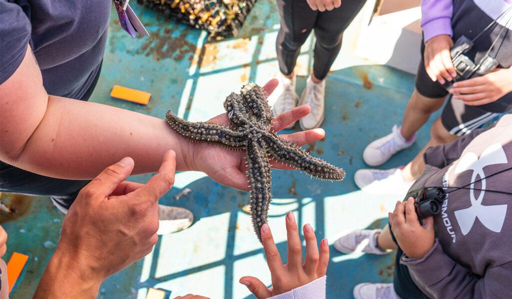A person in a boat holds a starfish while people gather around to look.